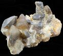 Dogtooth Calcite Crystal Cluster - Morocco #50198-1